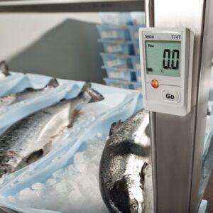 Testo 174T Logger