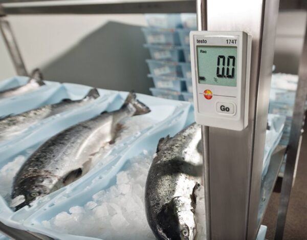 Testo 174T Logger