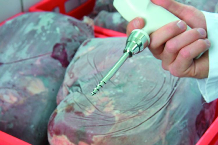 Testo 105 - Food Thermometer w Frozen Food Tip