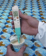 Testo 206 pH2 Instrument Kit -for Semi-Solid Foods